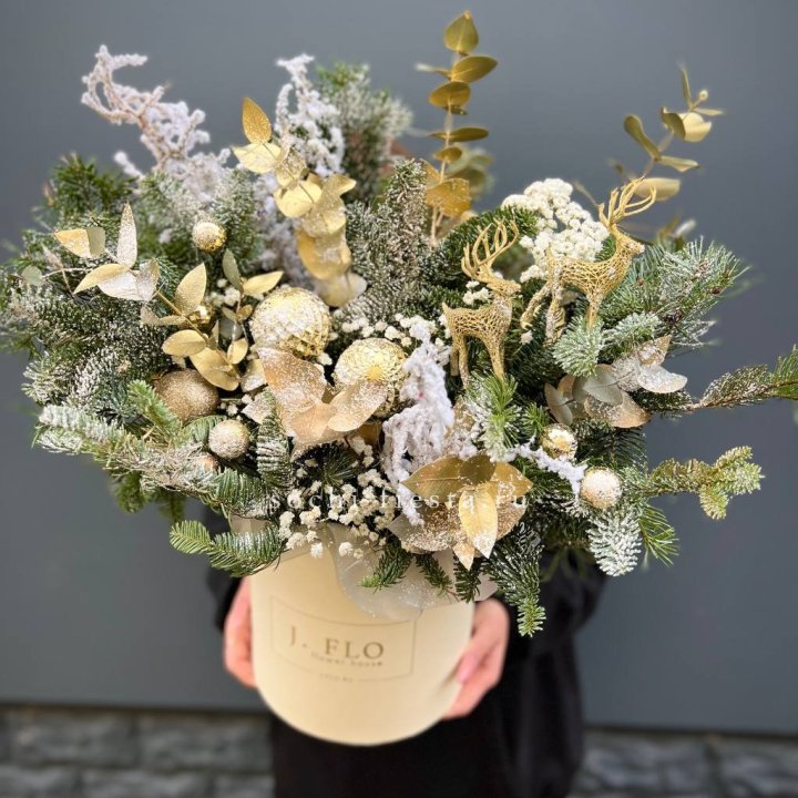 Золотой бокс с нобилисом в Курске