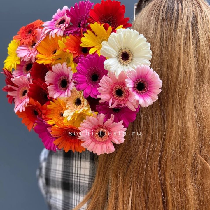 Охапка гербер  в Курске