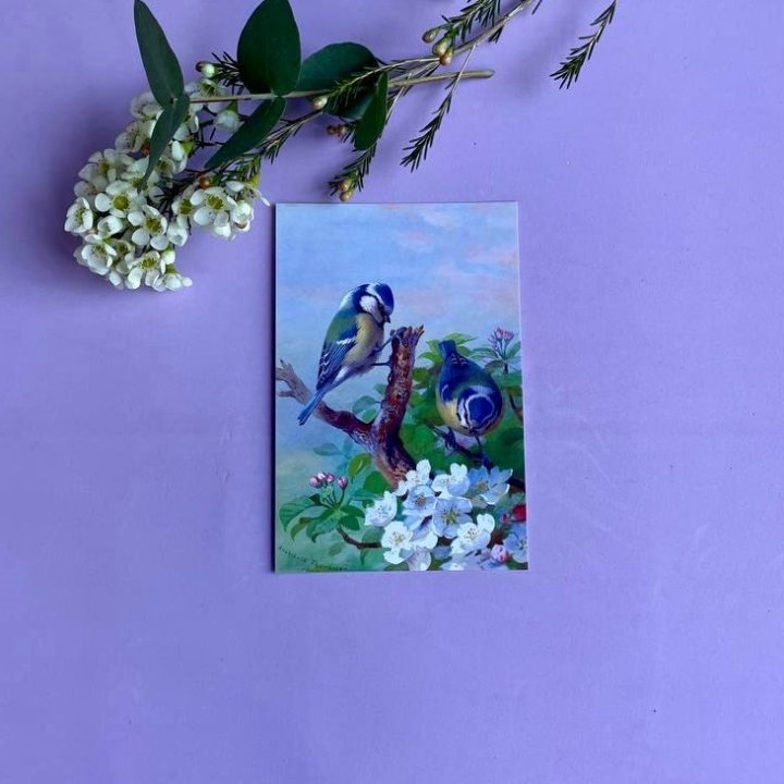 Открытка к букету "Птицы" в Курске