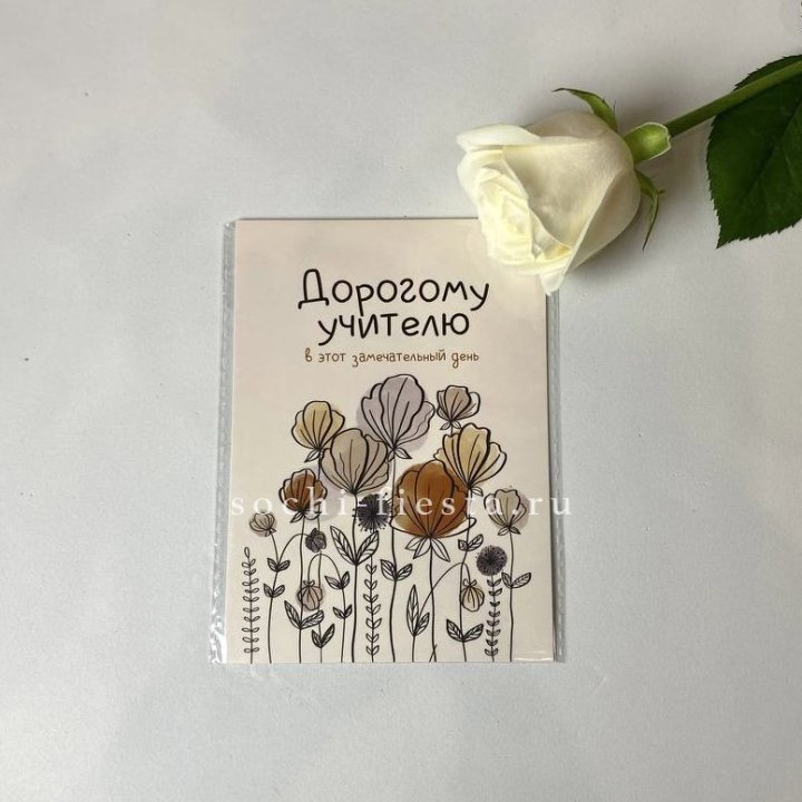 Открытка к букету "Дорогому учителю" в Курске