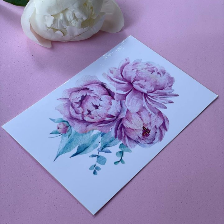 Открытка к букету "Пионы" в Курске