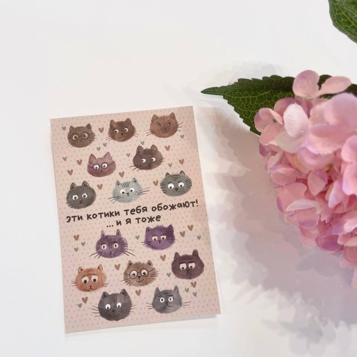 Открытка к букету "Котики" в Курске