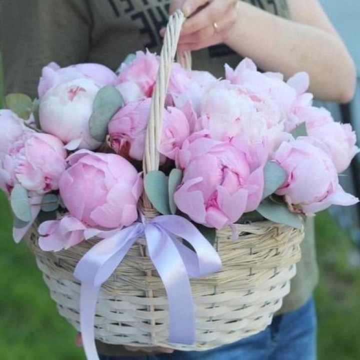 15 пионов в корзине в Курске