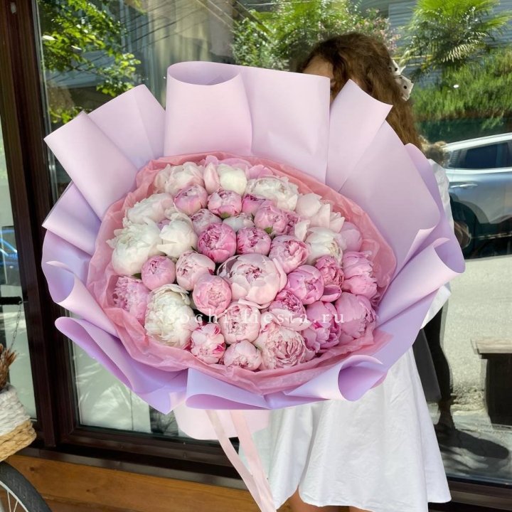 51 розовый пион в Курске