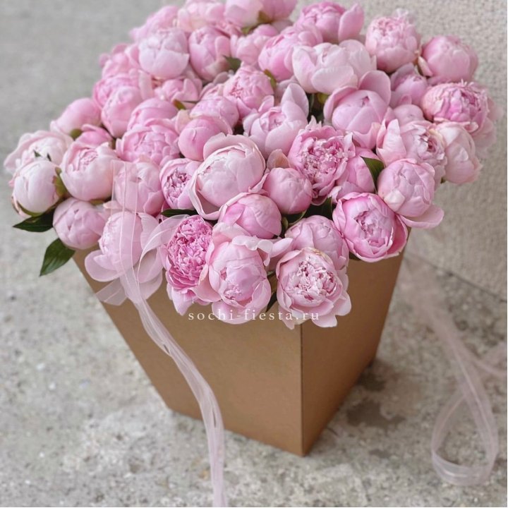 49 пионов в крафт коробке в Курске