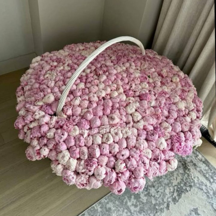 Корзина 555 пионов в Курске