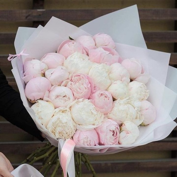 29 пионов в Курске