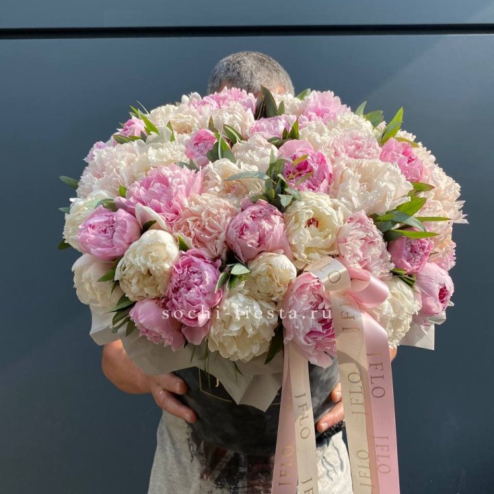 51 пионов в боксе в Курске