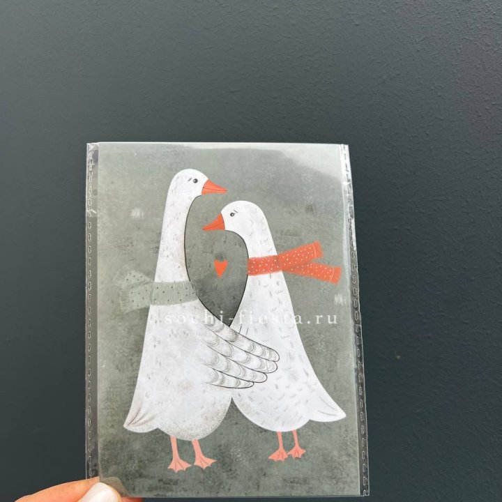 Открытка к букету "Гуси” в Курске