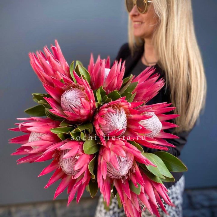 Протея штучно в Курске