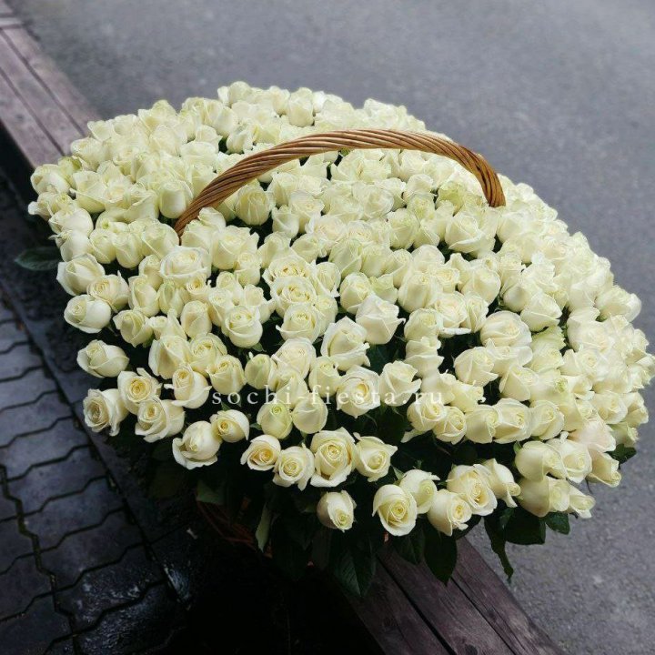 303 розы в корзине в Курске