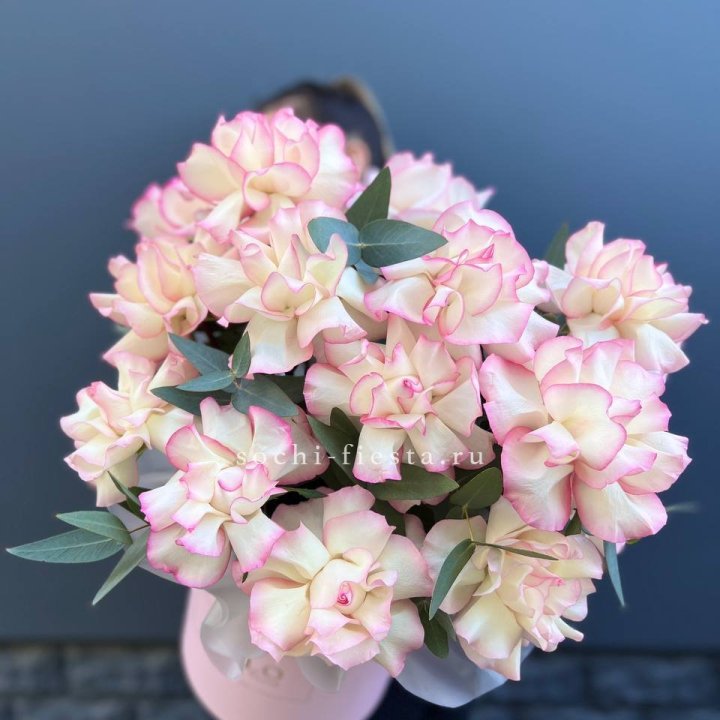 15 Французских роз Джумилия в боксе в Курске