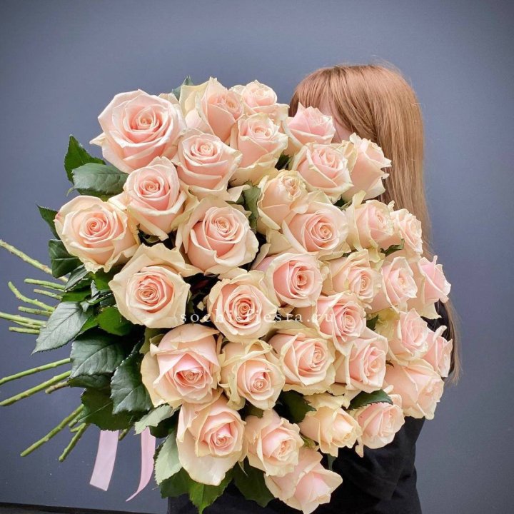35 кремовых высоких роз в Курске
