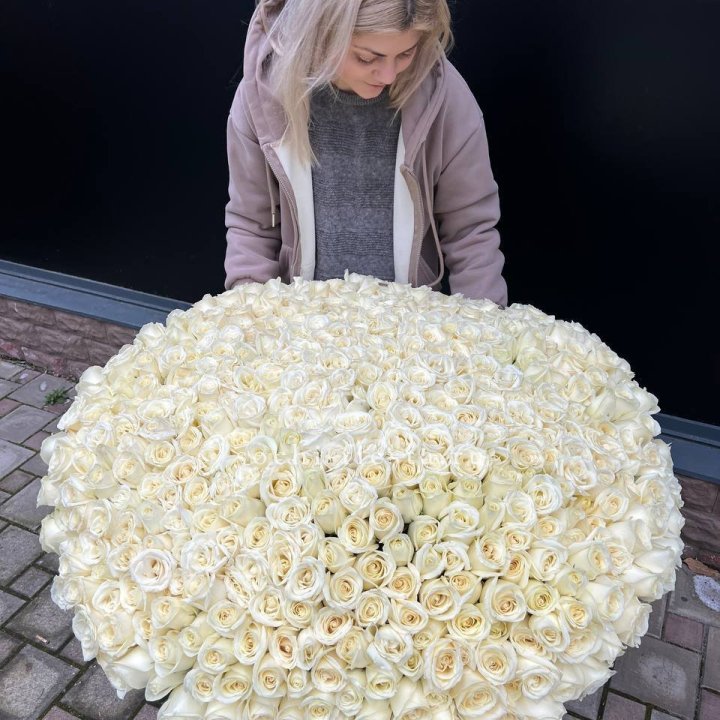 501 белая роза в корзине в Курске