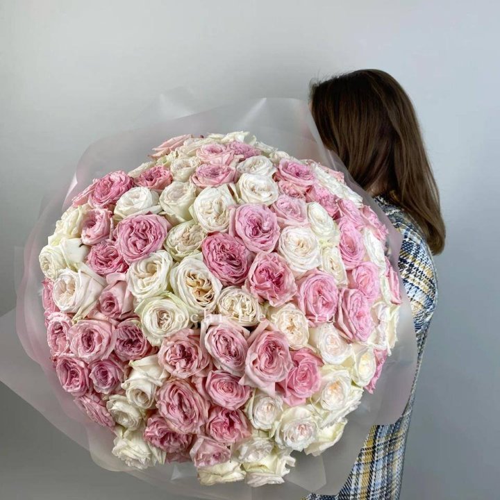 101 роз Охара в Курске