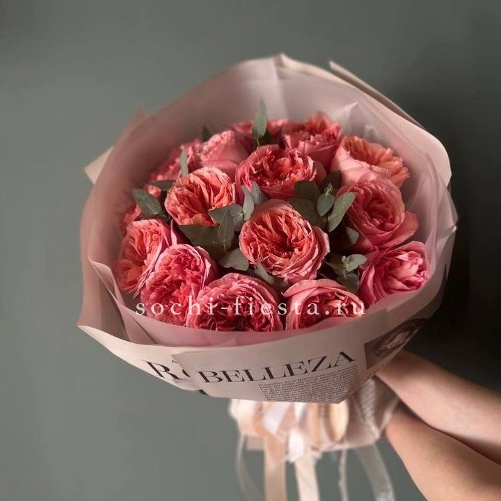 15 Пинк экспрешен в Курске