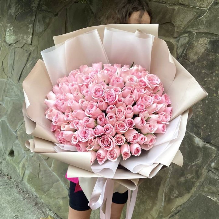 101 нежно-розовая роза Каролина  в Курске