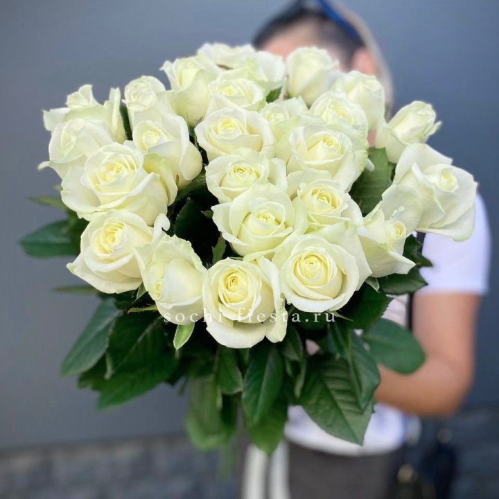 Голландские розы белые 25 в Курске