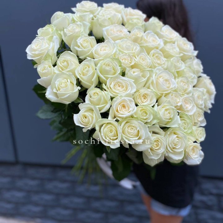 51 белоснежная высокая роза в Курске