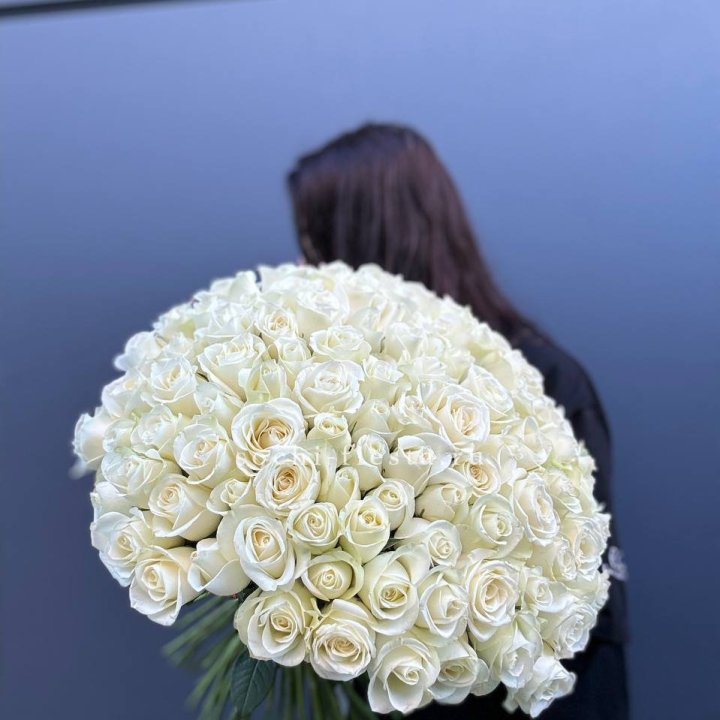 Охапка из 101 белой розы  в Курске