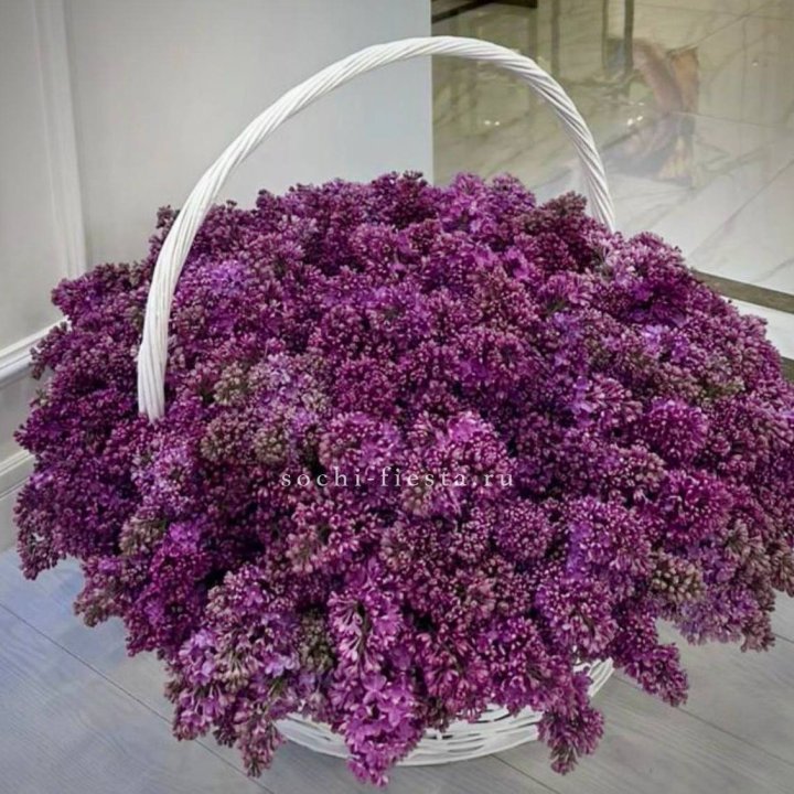 Корзина сирени в Курске