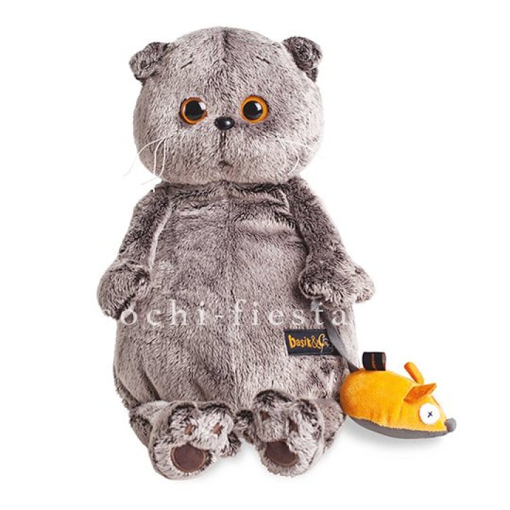 Кот Басик с мышкой в Курске