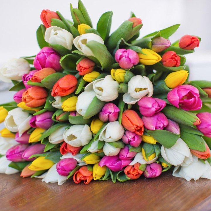 79 тюльпанов "Рандом" в Курске
