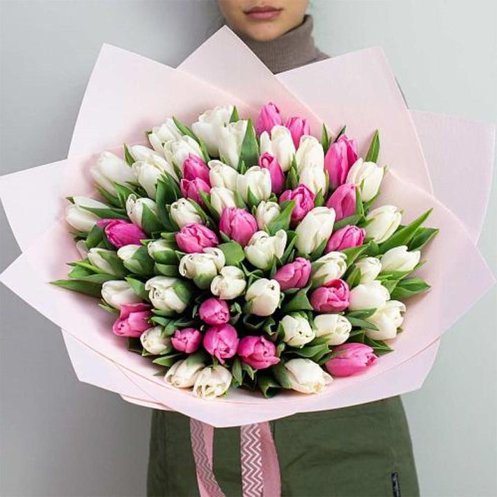 61 бело-розовый тюльпан в Курске