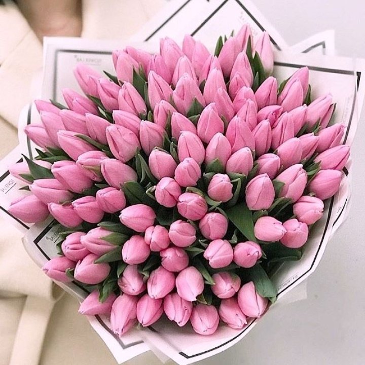 101 розовый тюльпан в белом в Курске