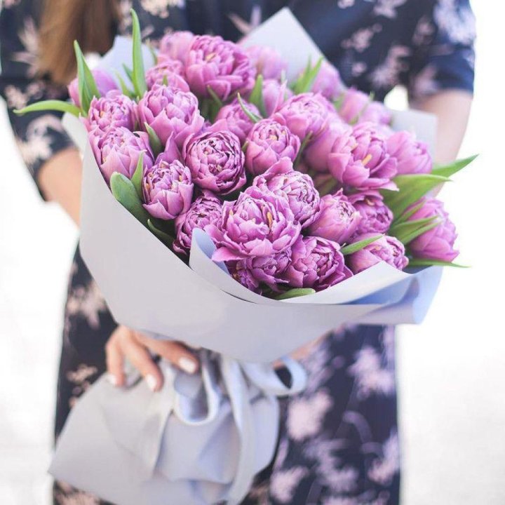 Тюльпаны "Пионс" в Курске