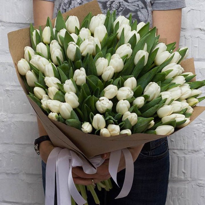 101 тюльпан сноу в Курске