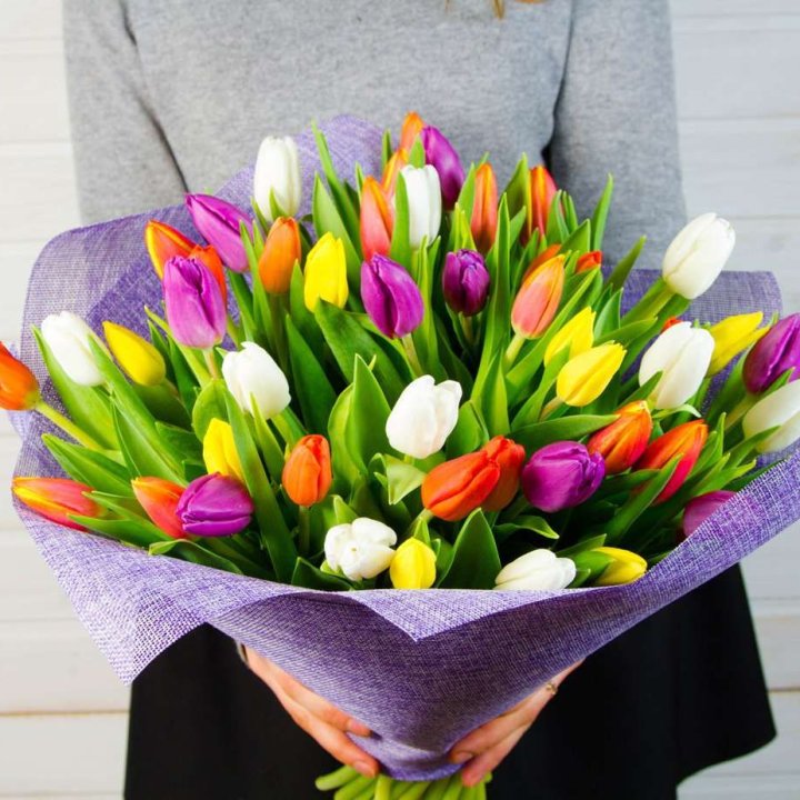 51 тюльпан "Рандом" №2 в Курске