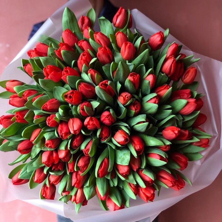 101 красный тюльпан в Курске